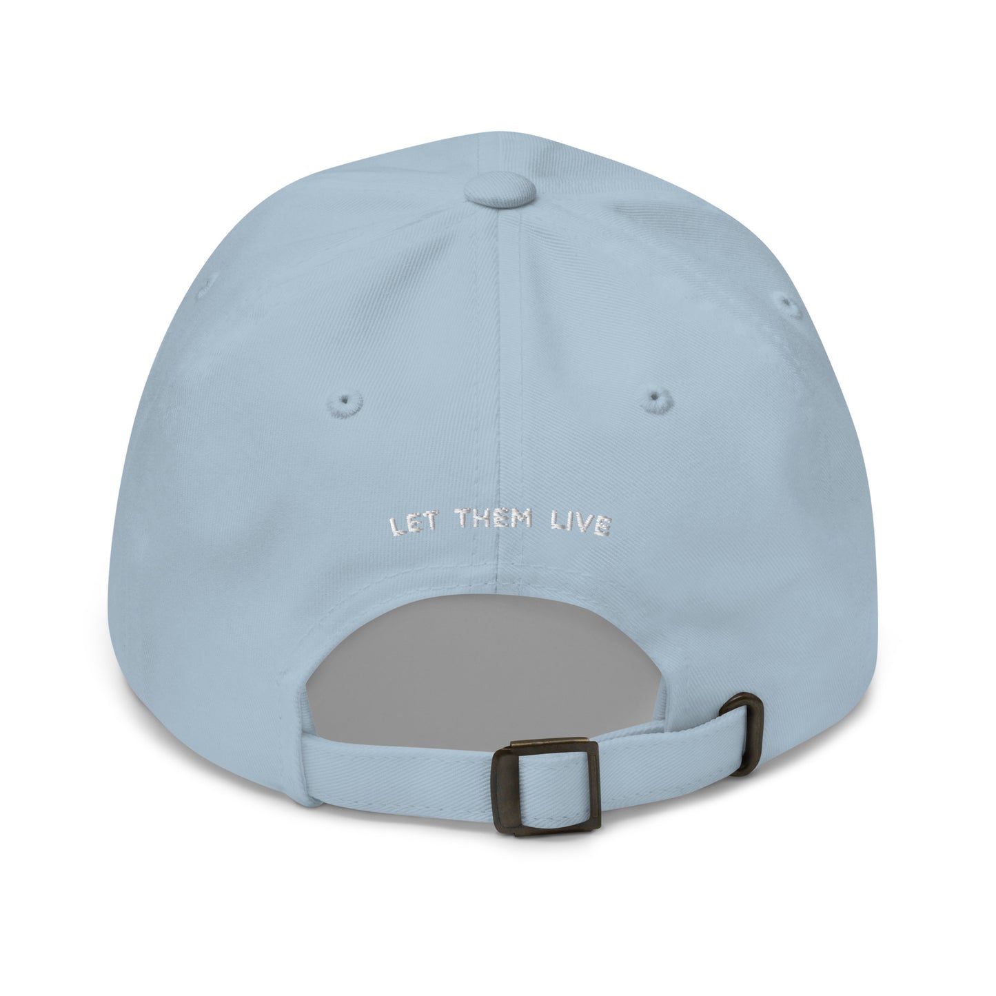 Pro-Life Era Dad Hat