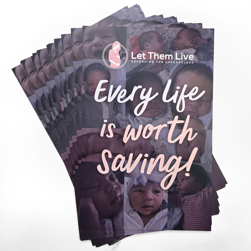 Pro-Life Posters 'Every Life' (20 Pack)