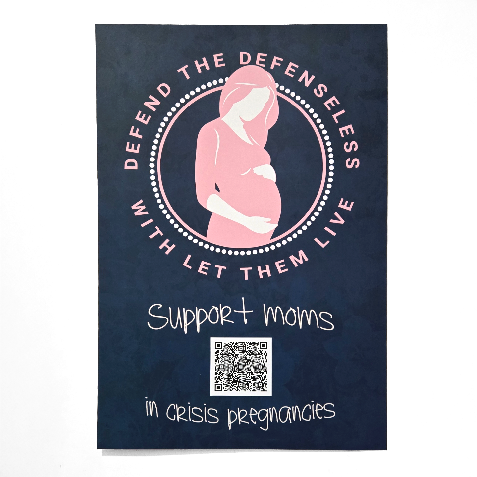 Pro-Life Posters 'Every Life' (20 Pack)